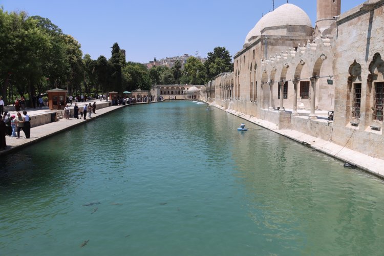Urfa'da Gölgelik Mesaisi