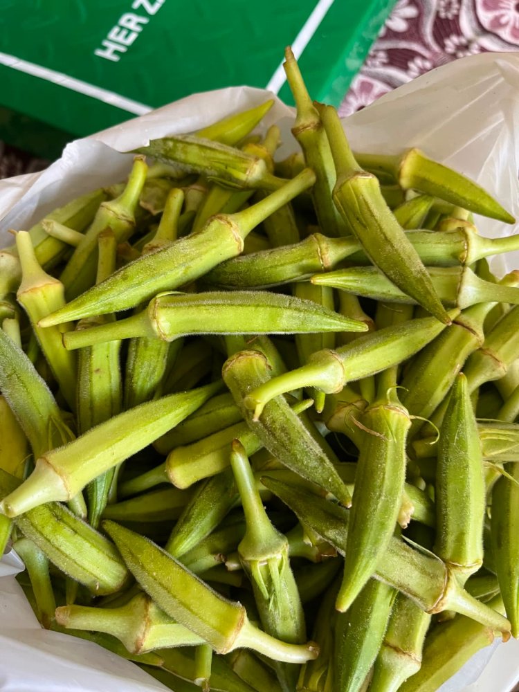 Harran'ın Yeşil Bereketi