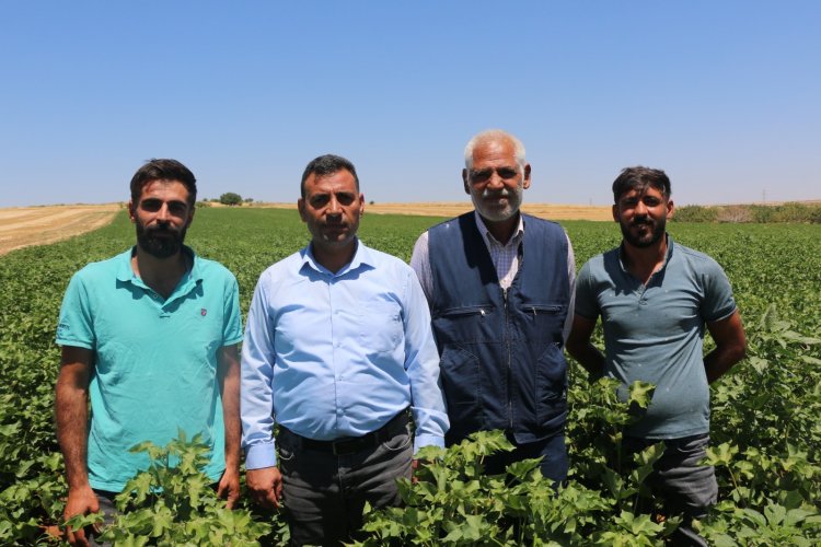 Başkan Fidan'dan çiftçiler için çağrı! "Çiftçi kaybederse üretim kaybeder"
