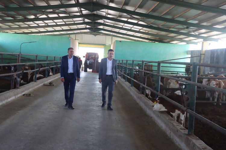 Şanlıurfa Besi OTB'de Değişim Süreci Hız Kazandı: Sırada Hayvan Hastanesi Projesi Var