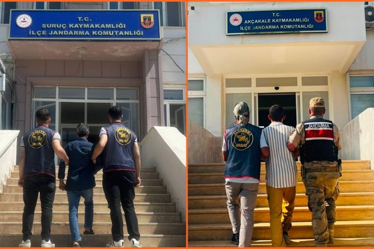 Şanlıurfa'da Jandarmadan Kaçamadılar: Aranan 2 Hükümlü Yakalandı