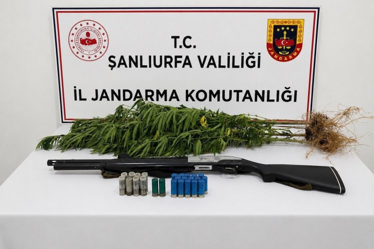 Şanlıurfa’da Uyuşturucu ve Ruhsatsız Tüfek Ele Geçirildi