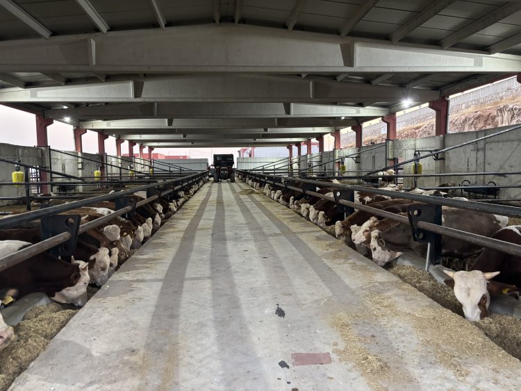 BESİ OTB’DE DEZENFEKSİYON TÜNELİ HAZIRLIĞI