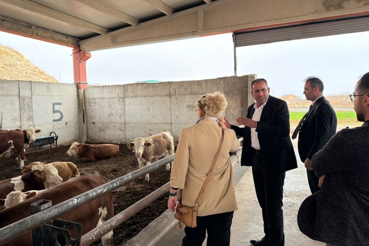 Harran Üniversitesi ile Şanlıurfa Besi OTB’den Hayvancılığı Güçlendirecek İş Birliği